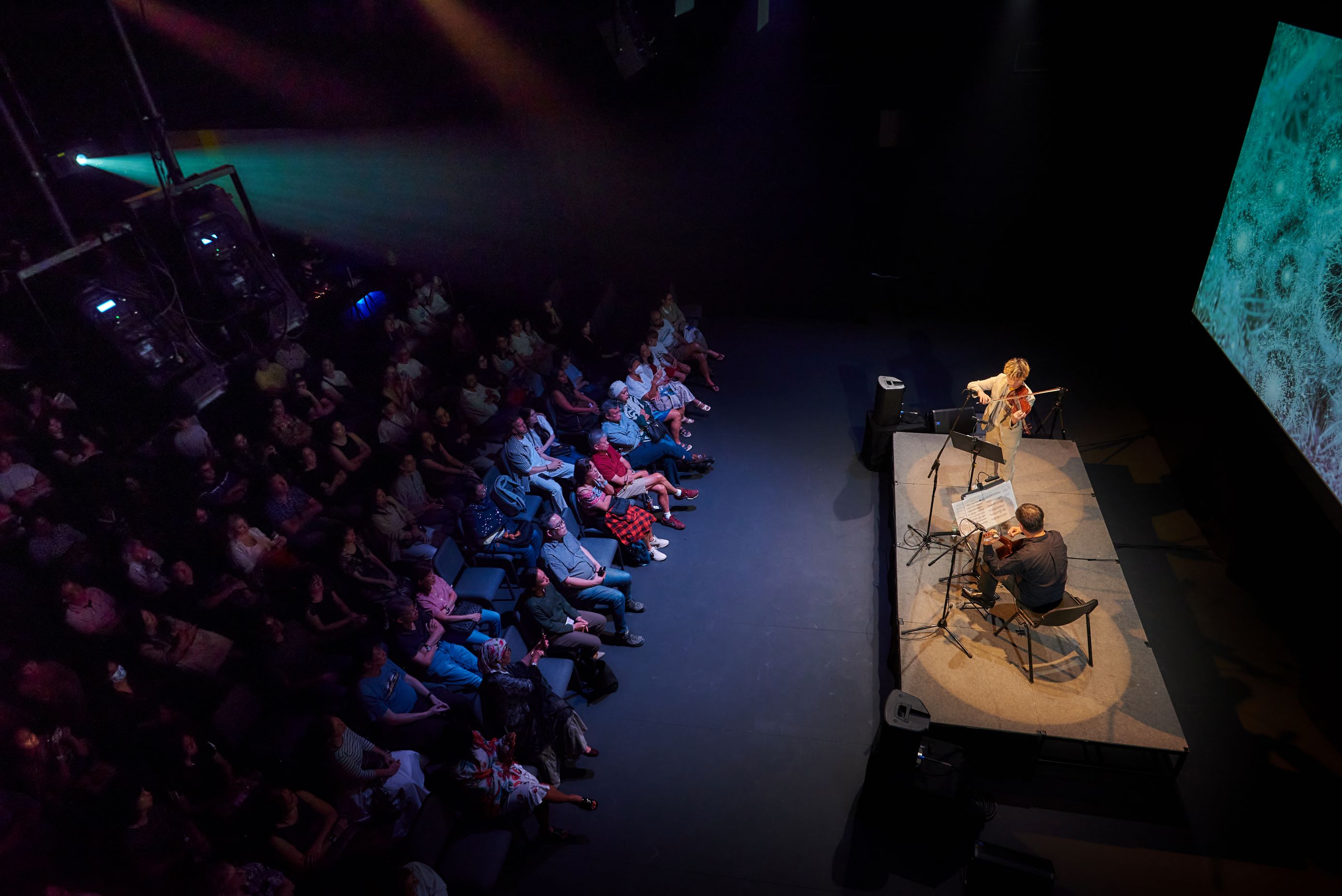 violin guitar concert